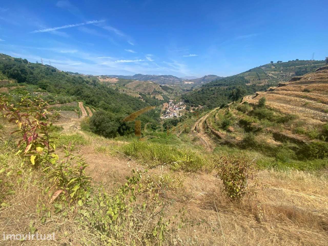 Quinta no Douro - Grande imagem: 4/16