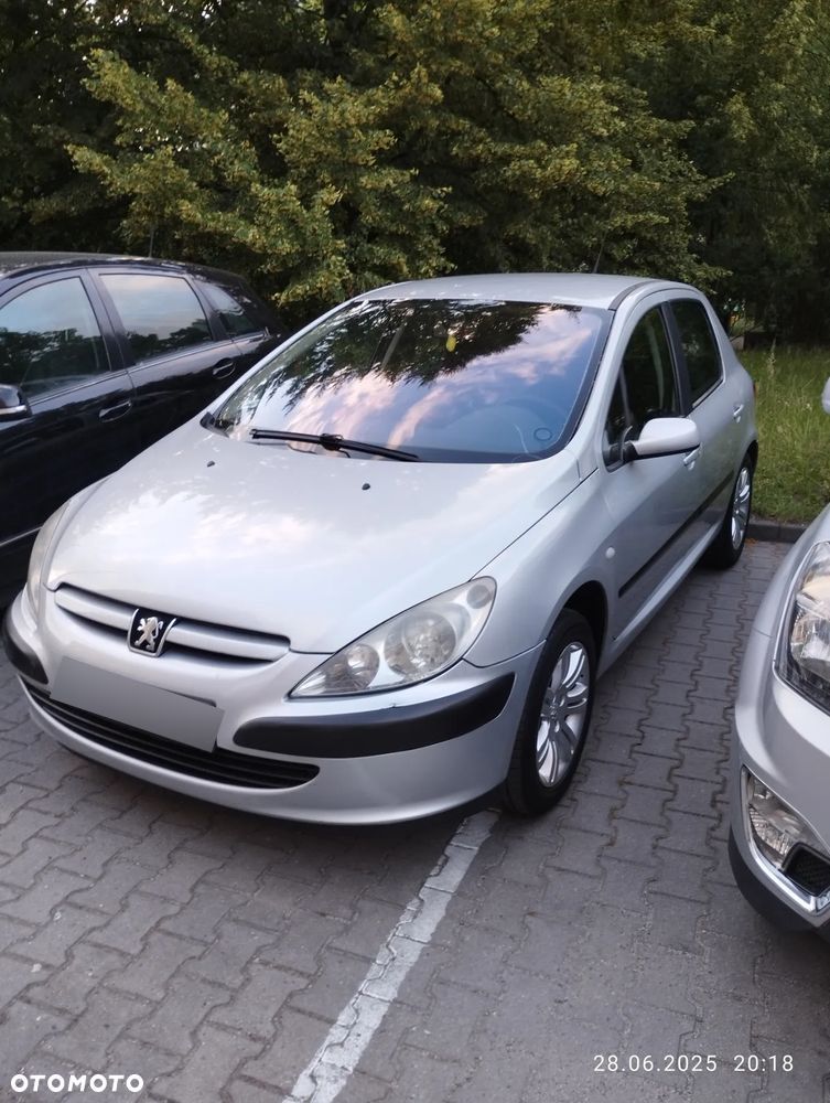 Peugeot 307 1.6 Mistral - 31