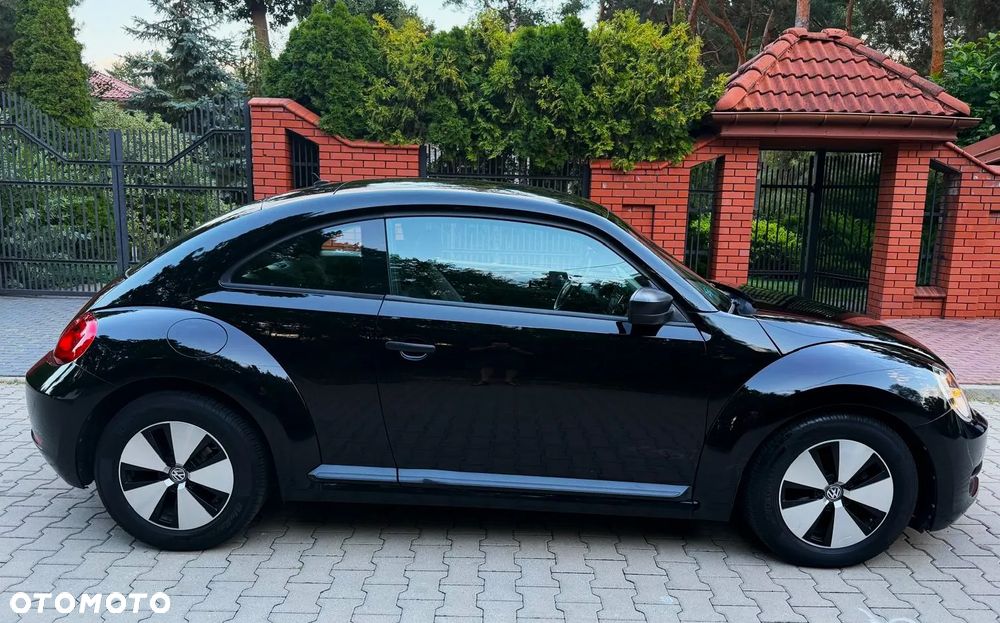 Volkswagen Beetle - 13