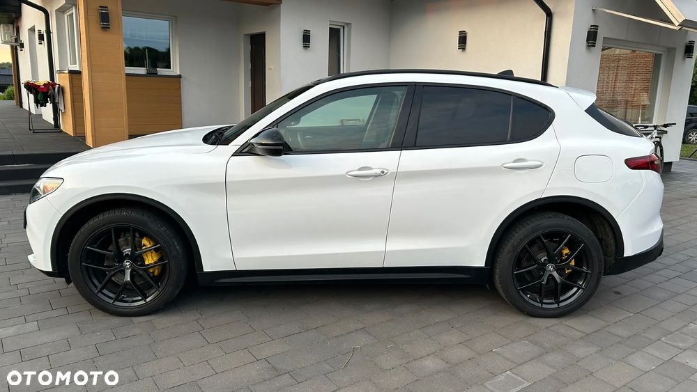 Alfa Romeo Stelvio 2.0 Turbo 16V AT8-Q4 Executive - 1