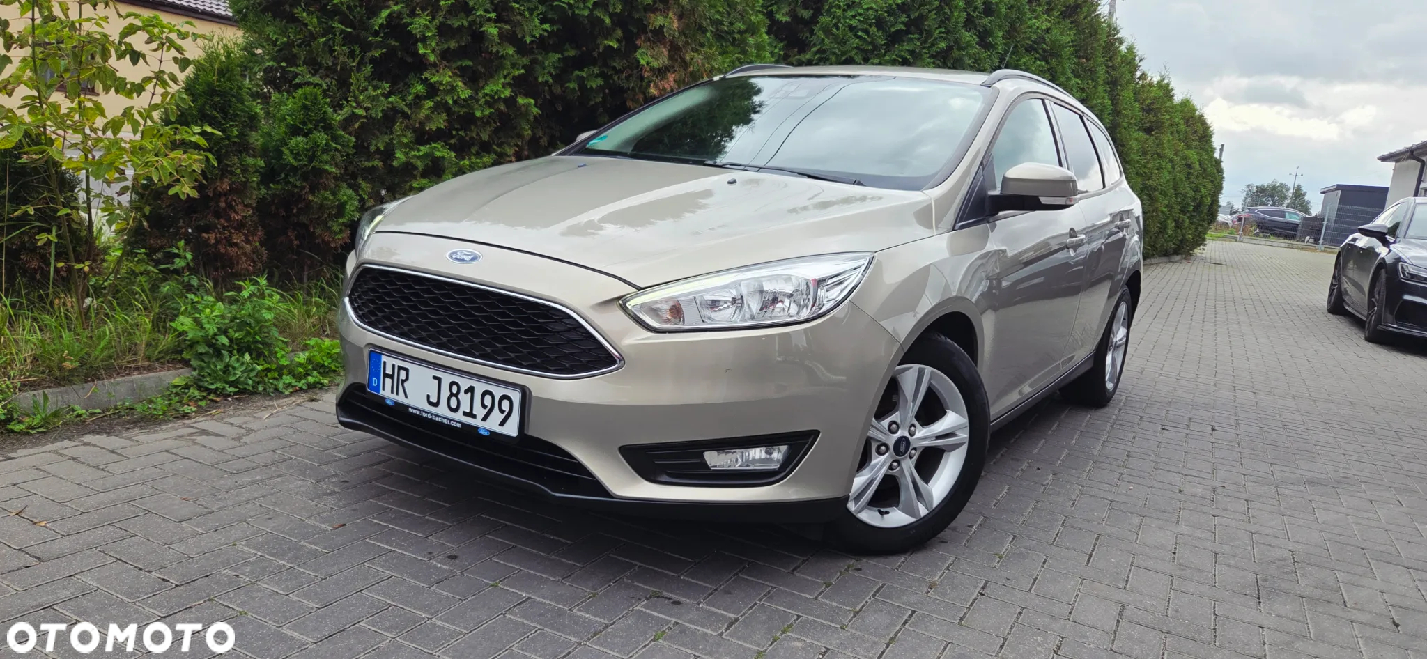 Ford Focus 1.5 EcoBlue Start-Stopp-System TITANIUM DESIGN - 2