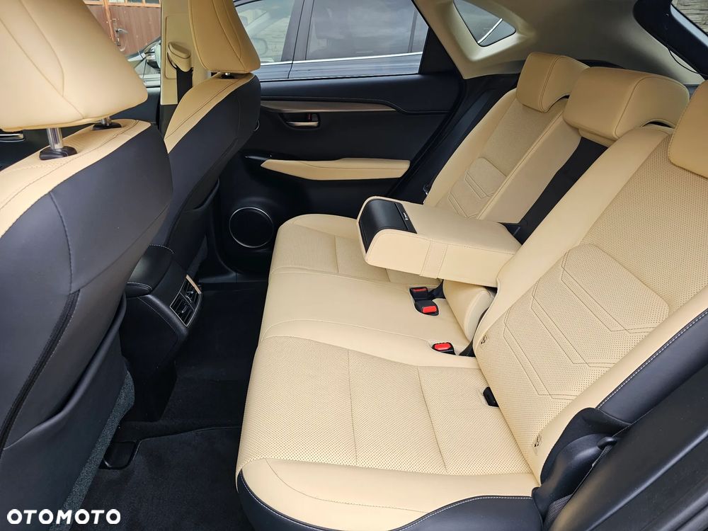 Lexus NX 300h Elegance 2WD - 16