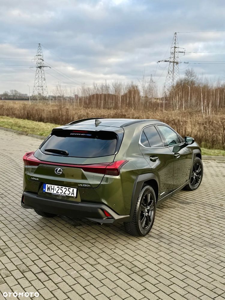 Lexus UX 250h GPF F Impression 2WD - 17