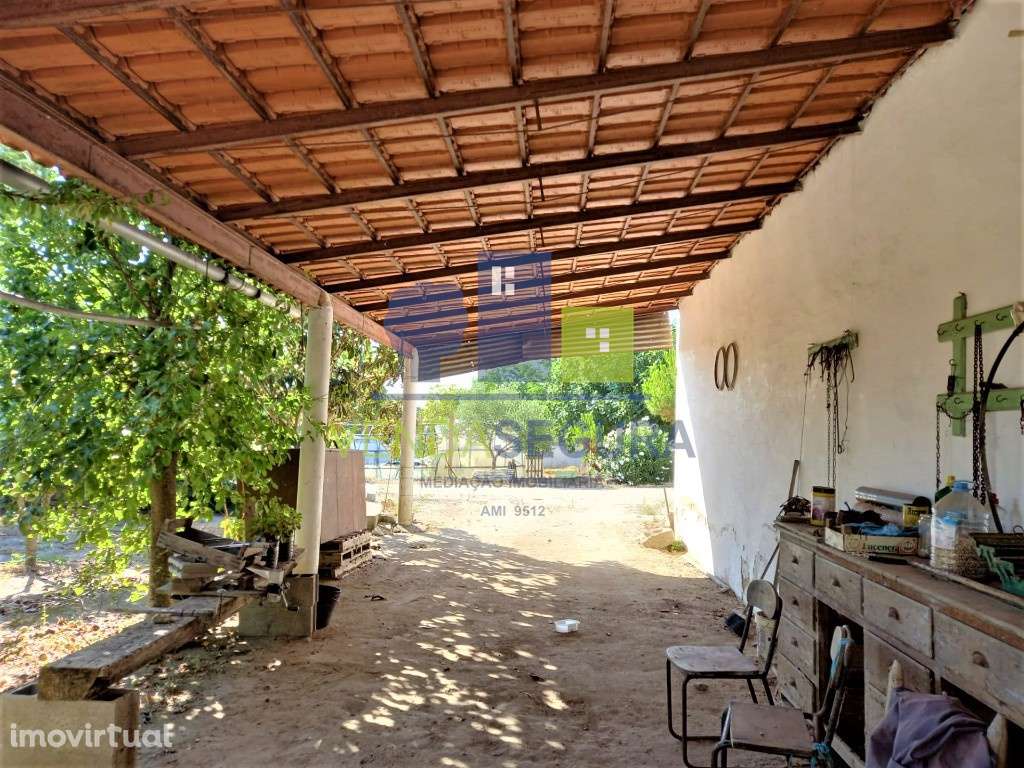 Terreno Agrícola com armazém | Pias - Grande imagem: 4/24