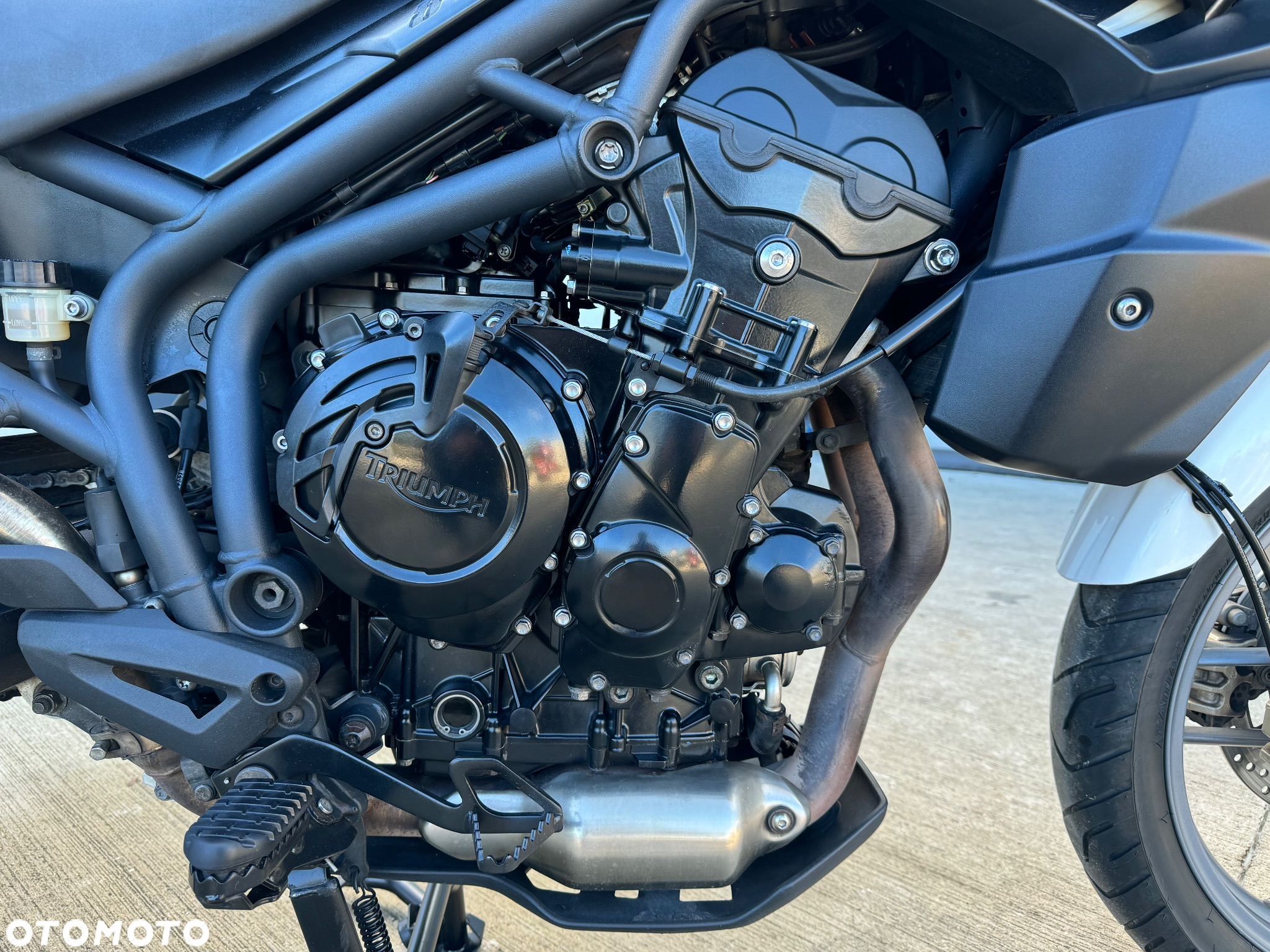 Triumph Tiger - 16