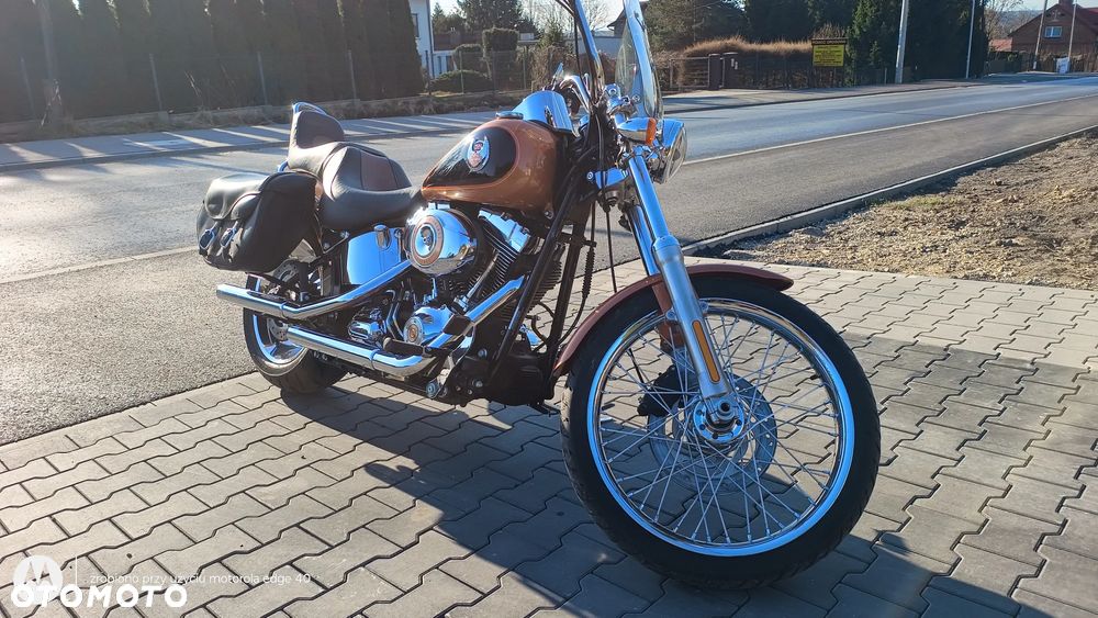 Harley-Davidson Softail Custom - 9