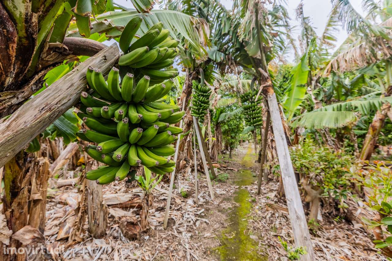 Terreno Rústico - Vila Franca do Campo - Grande imagem: 4/12