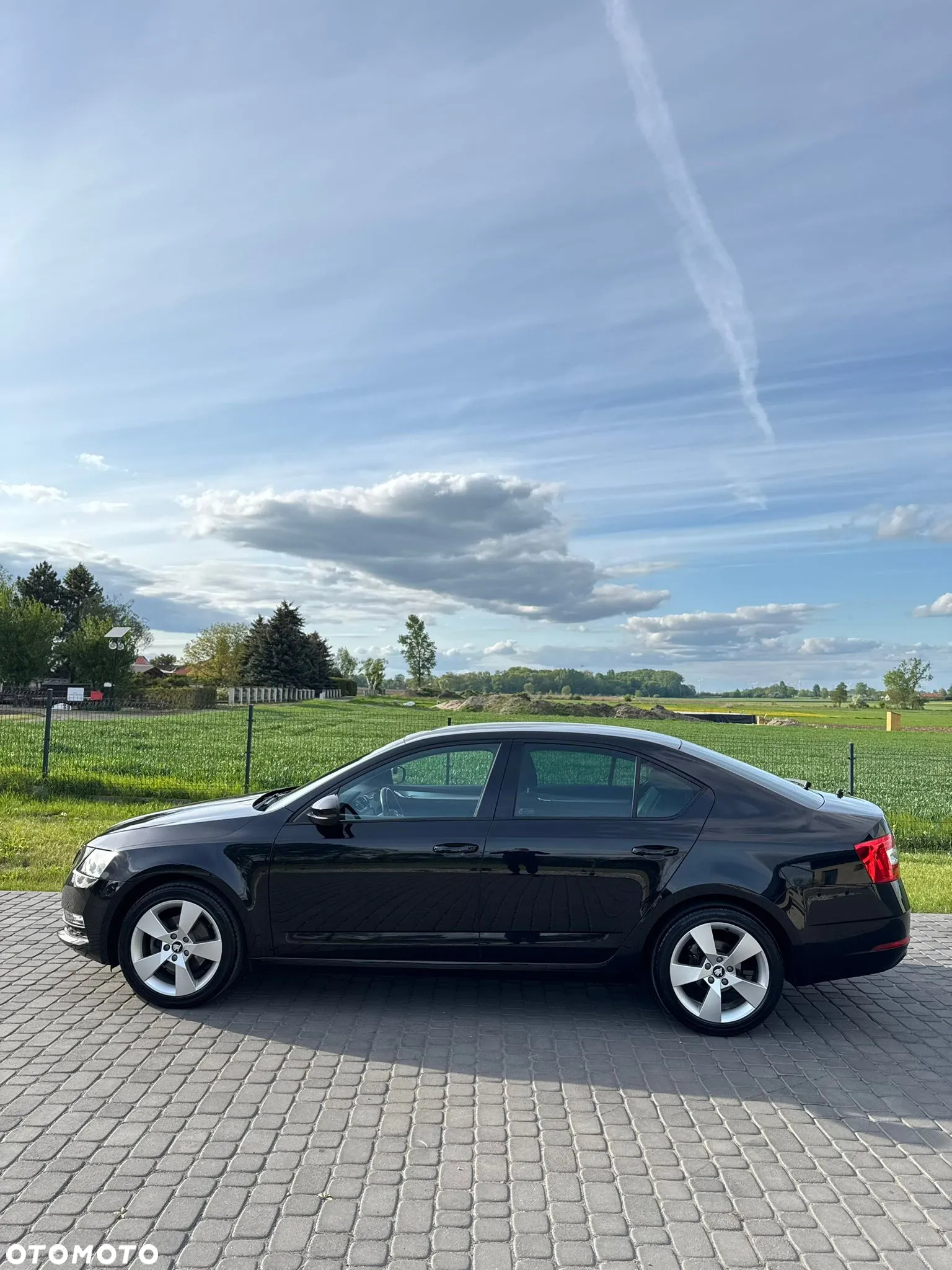 Skoda Octavia 1.4 TSI Ambition - 5