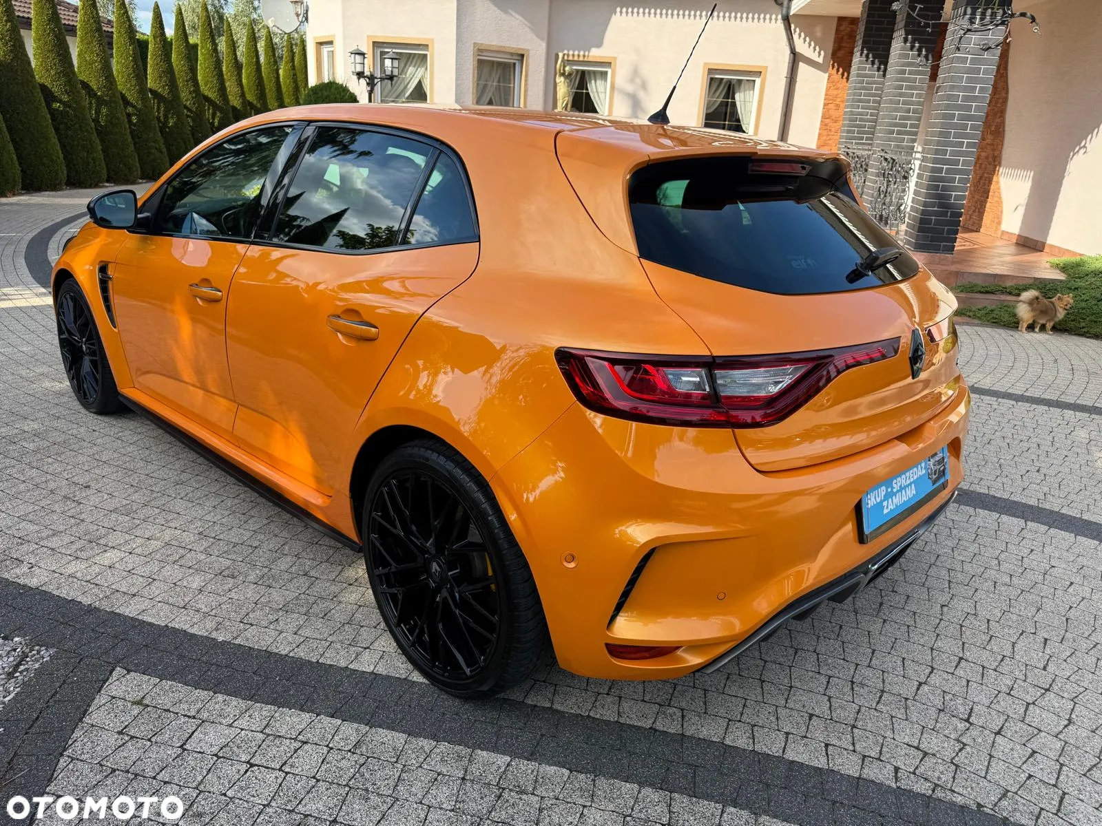 Renault Megane 1.8 TCe FAP R.S EDC - 11