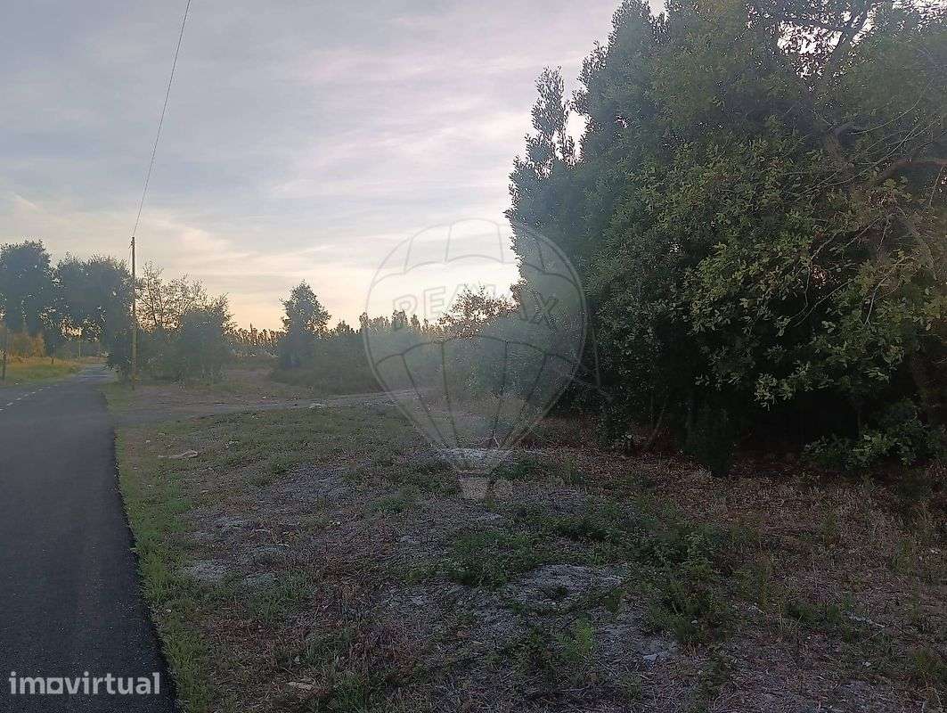 Terreno  para venda - Grande imagem: 4/20