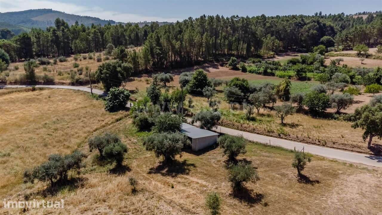 Terreno Misto / Fundão, Enxames