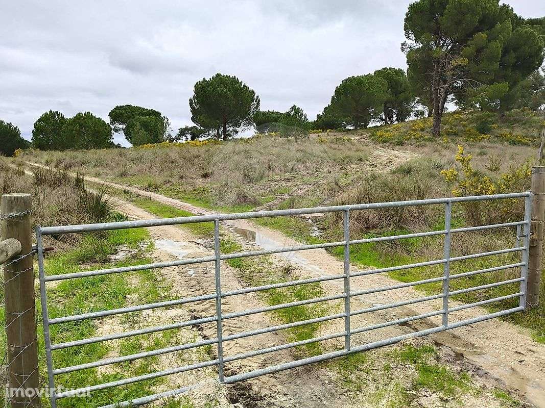 Quinta  para venda - Grande imagem: 2/30