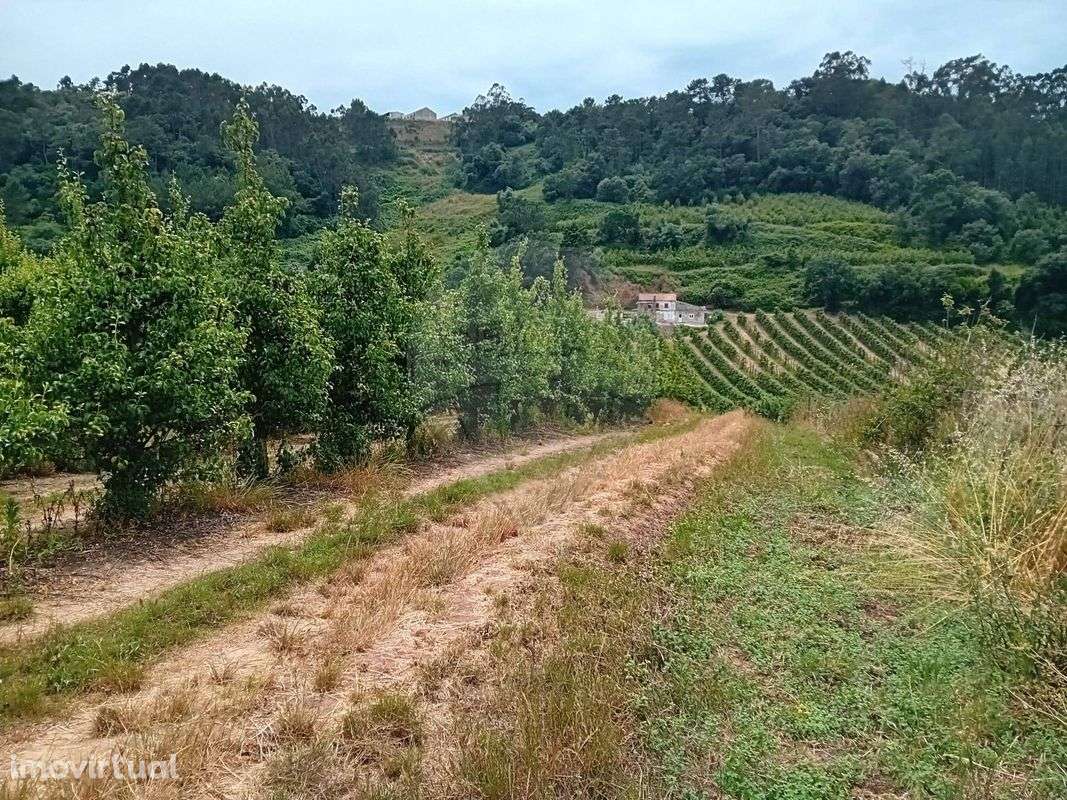 Terreno  para venda - Grande imagem: 3/10