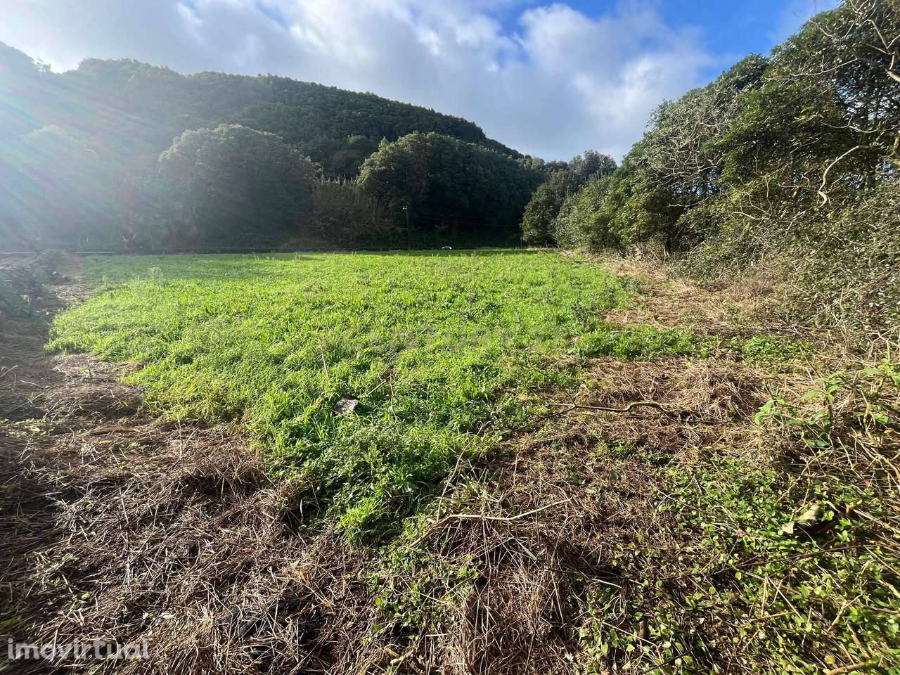 Terreno para construção - Grande imagem: 3/4