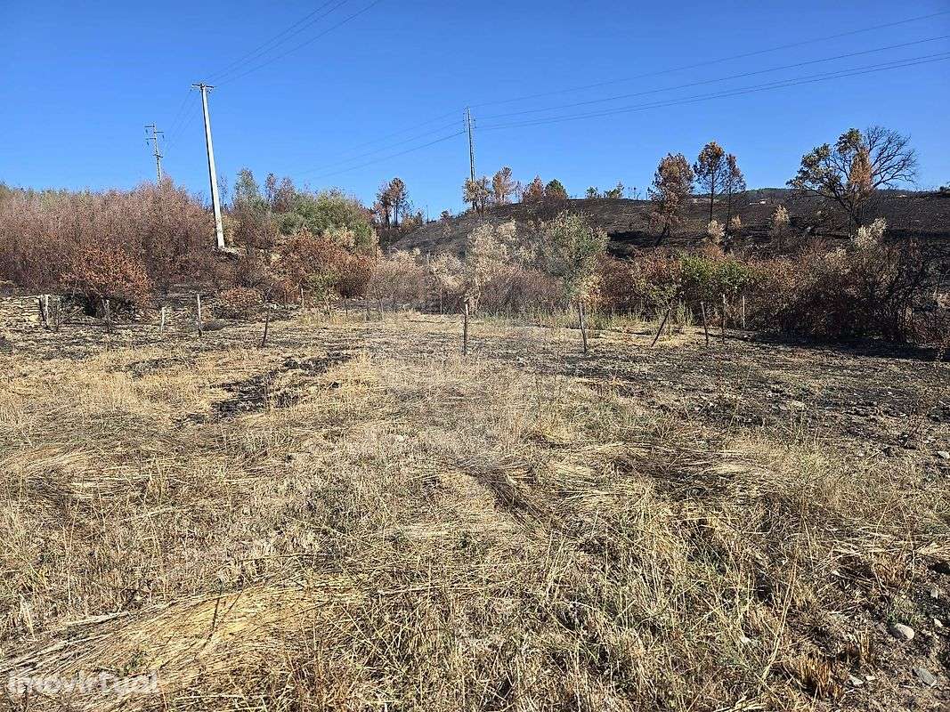 Terreno  para venda - Grande imagem: 4/31