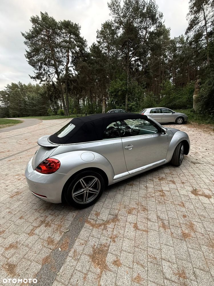 Volkswagen Beetle - 1