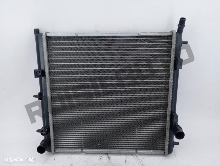 Radiador água 96829_41780 Citroen C2 [2003_2010] 1.1 - 1