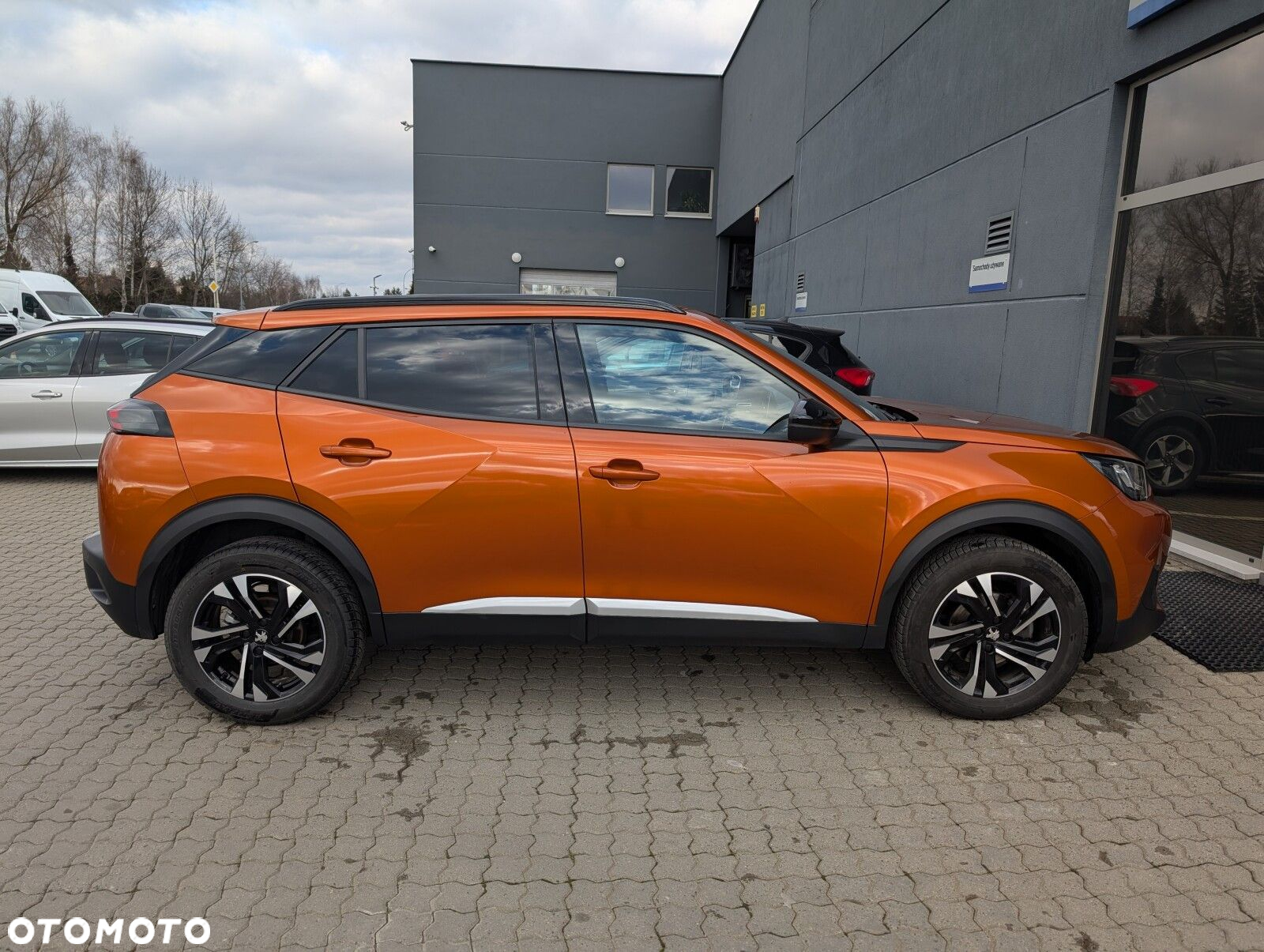 Peugeot 2008 - 6