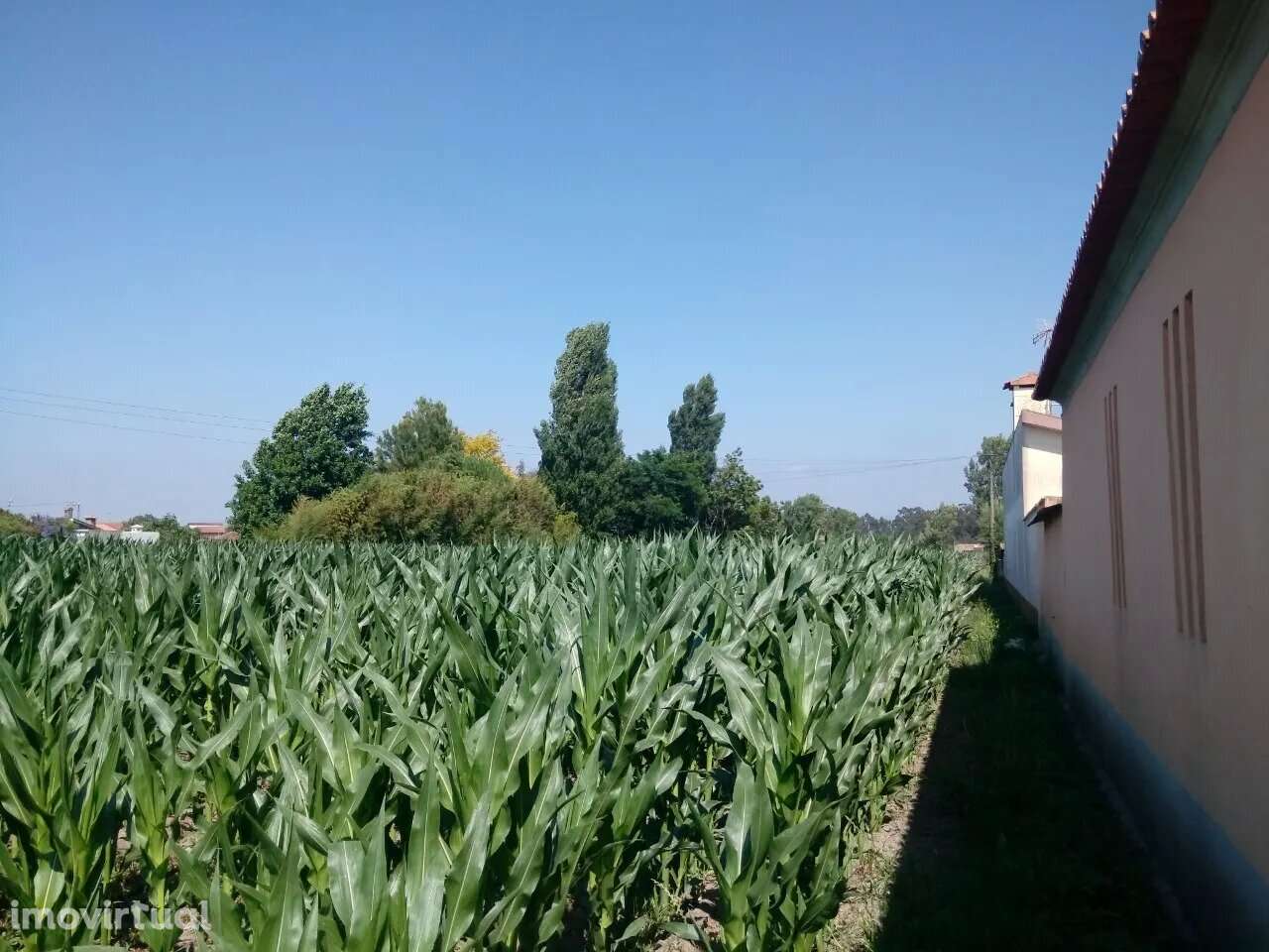 Terreno com viabilidade construtiva em Estarreja - Grande imagem: 5/7