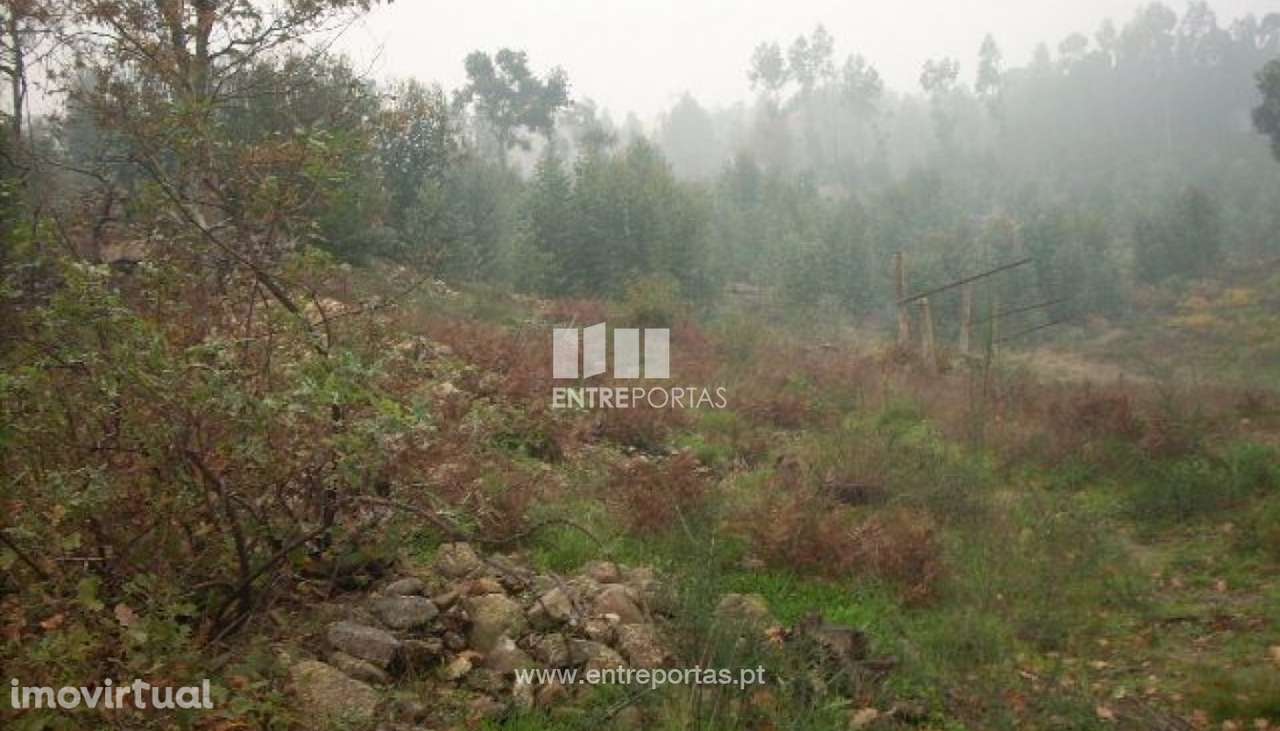 Venda Terreno, Várzea do Douro, Marco de Canaveses - Grande imagem: 4/6