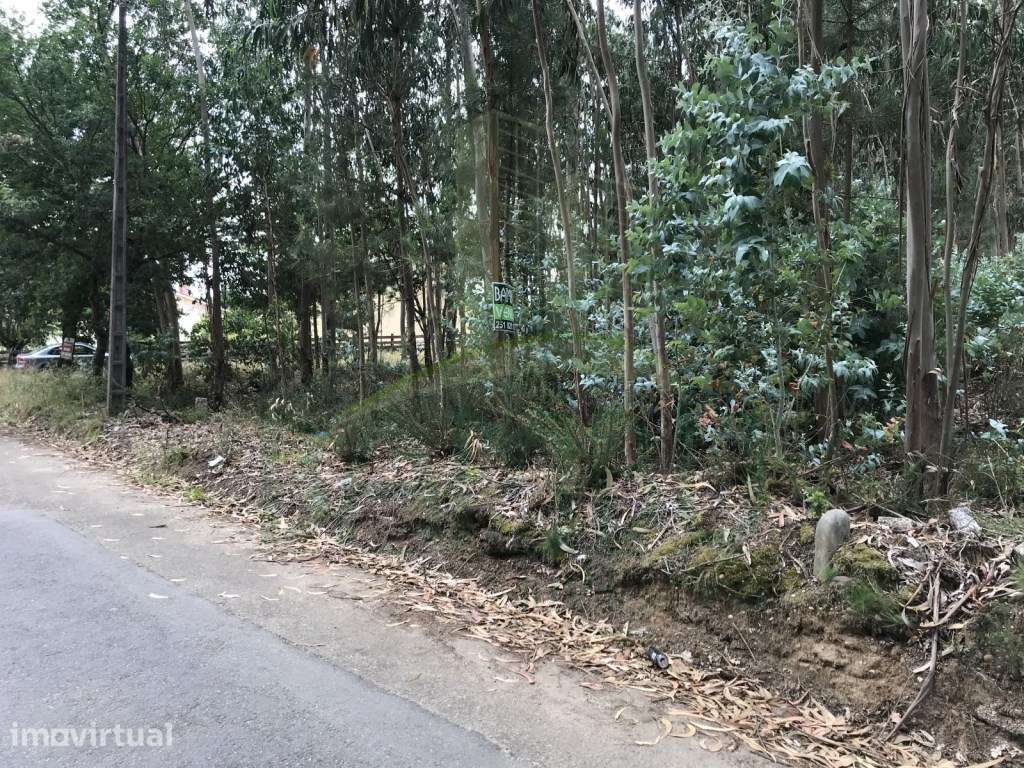 Terreno para Venda em São Pedro da Torre - Grande imagem: 3/7