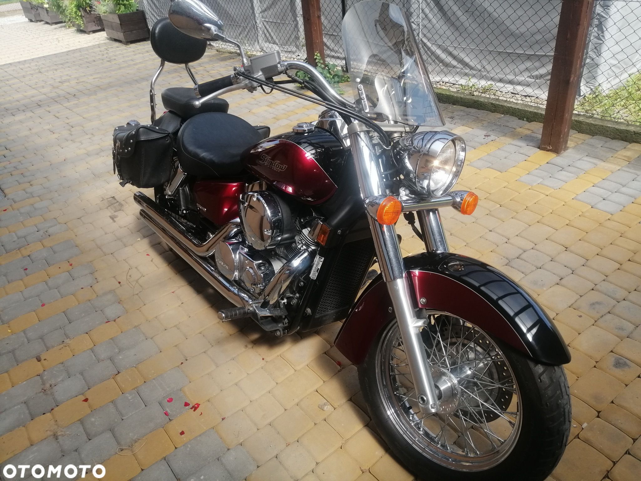 Honda Shadow - 1