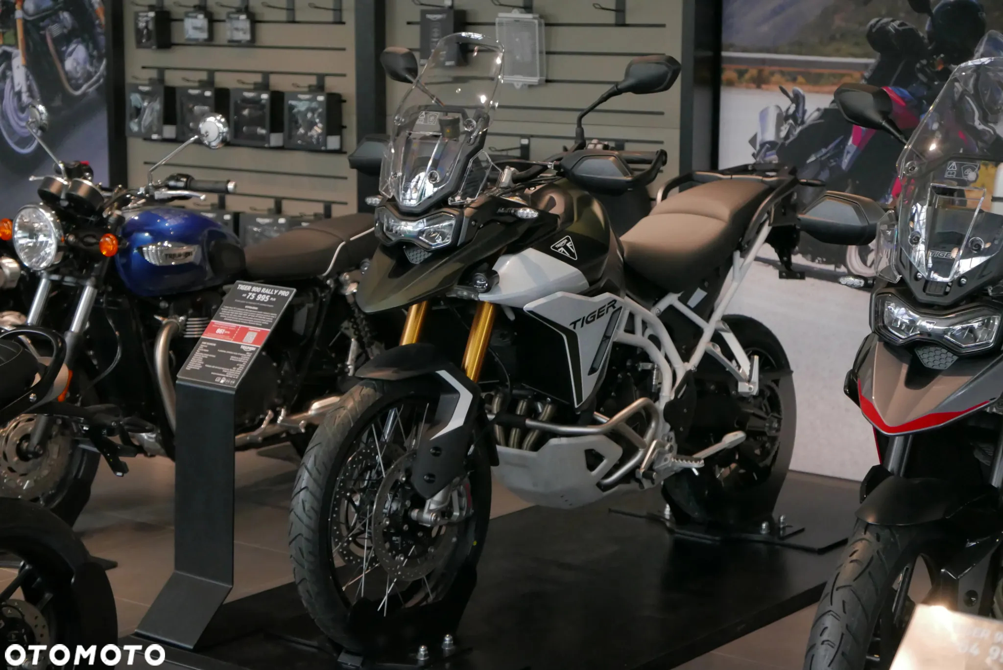 Triumph Tiger - 3