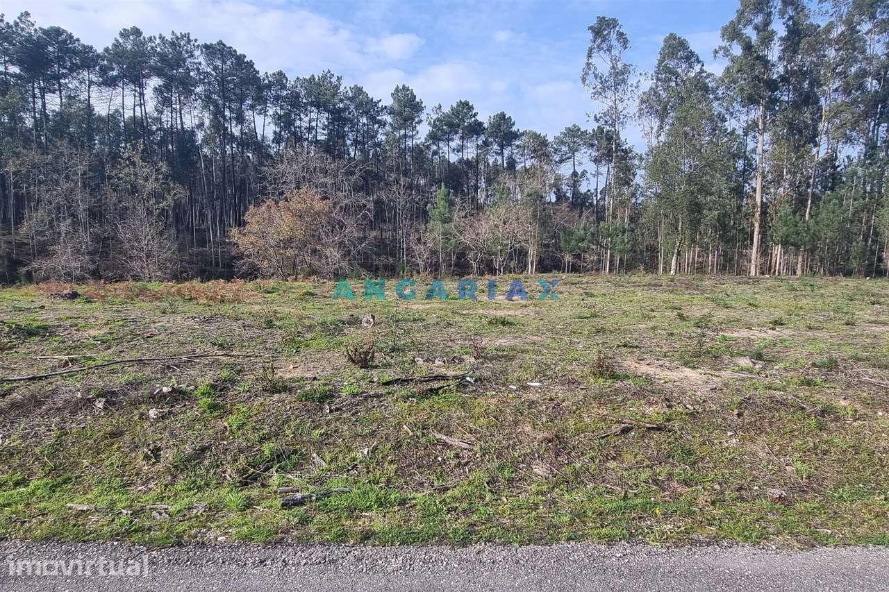 ANG1017 - Terreno de 4174m2 à Venda em Maceira, Leiria - Grande imagem: 3/12