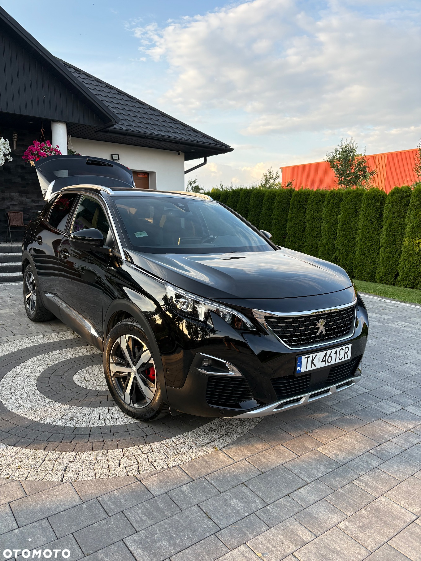Peugeot 3008 - 11