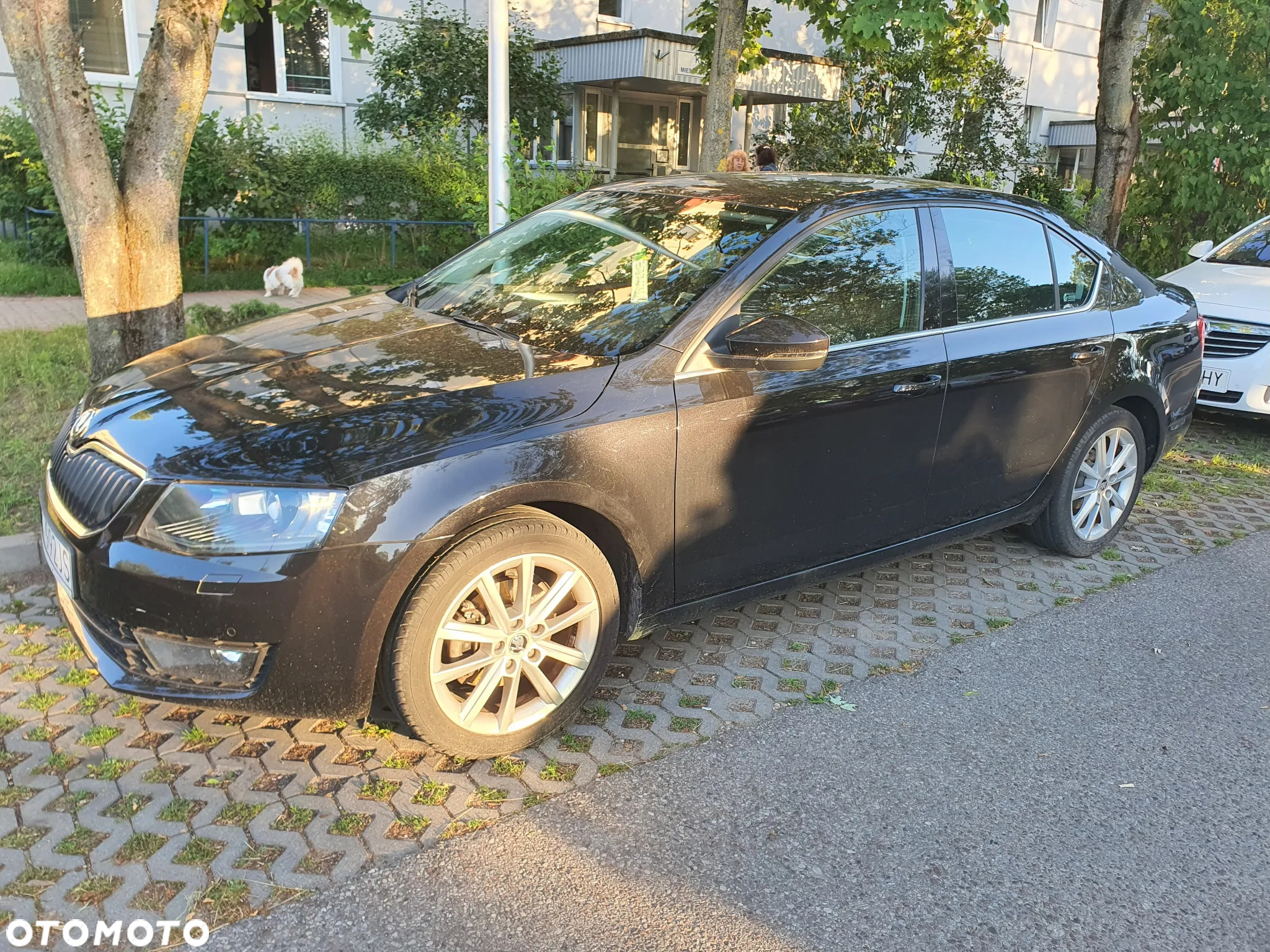 Skoda Octavia 1.4 TSI Ambition - 9