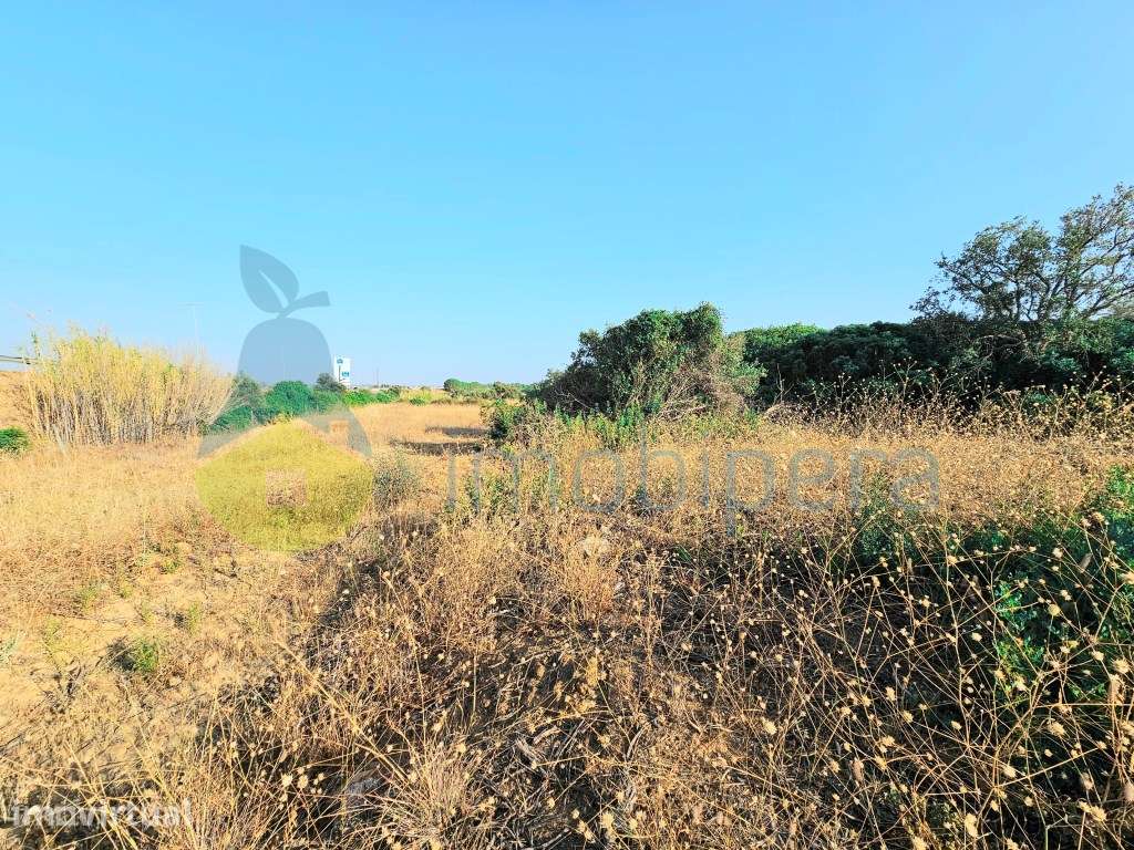 Terreno em zona rural, em Pêra / Armação de Pêra, para agricultura ... - Grande imagem: 5/11