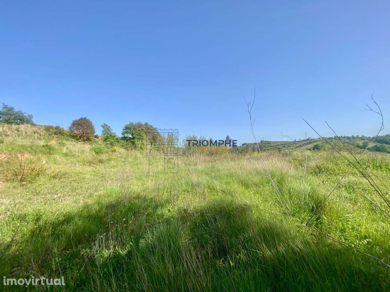 Terreno com Projeto Aprovado 8 Moradias Geminadas T3 Batalha - Grande imagem: 5/13