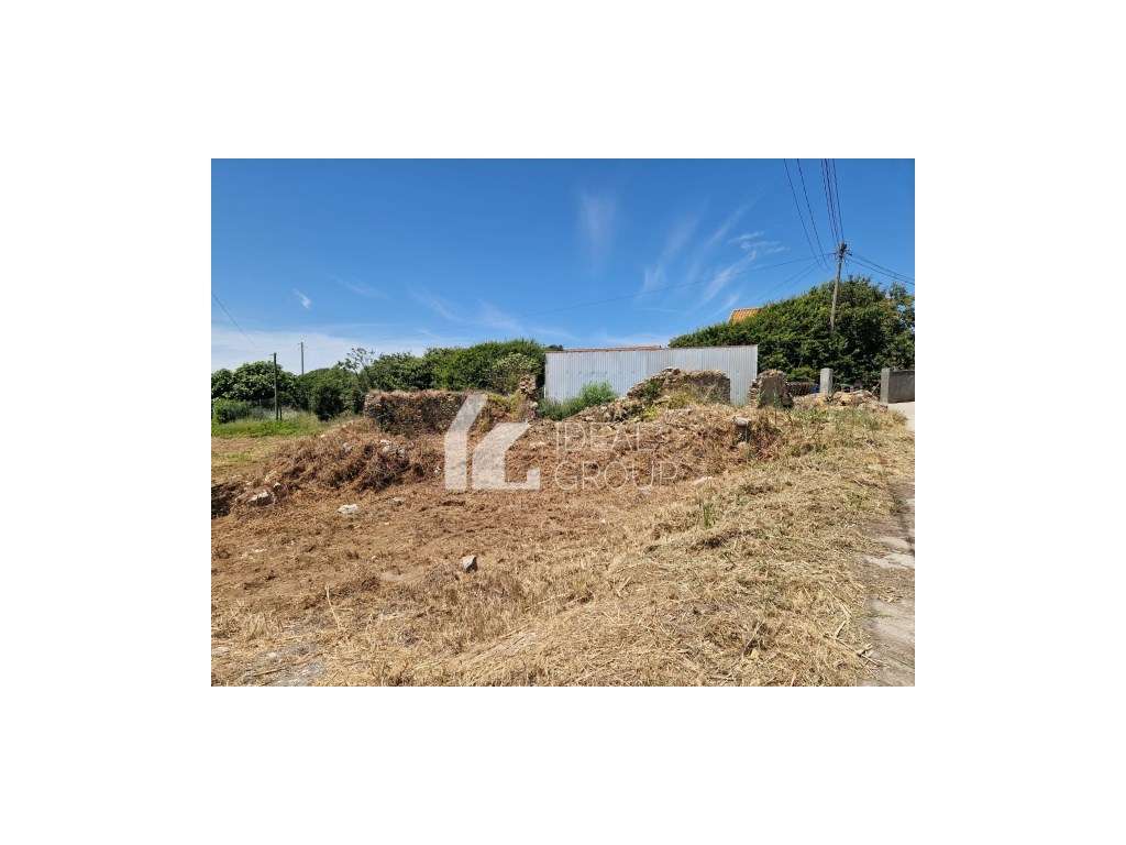 Terreno para Venda - Maceira / Torres Vedras - Grande imagem: 3/3