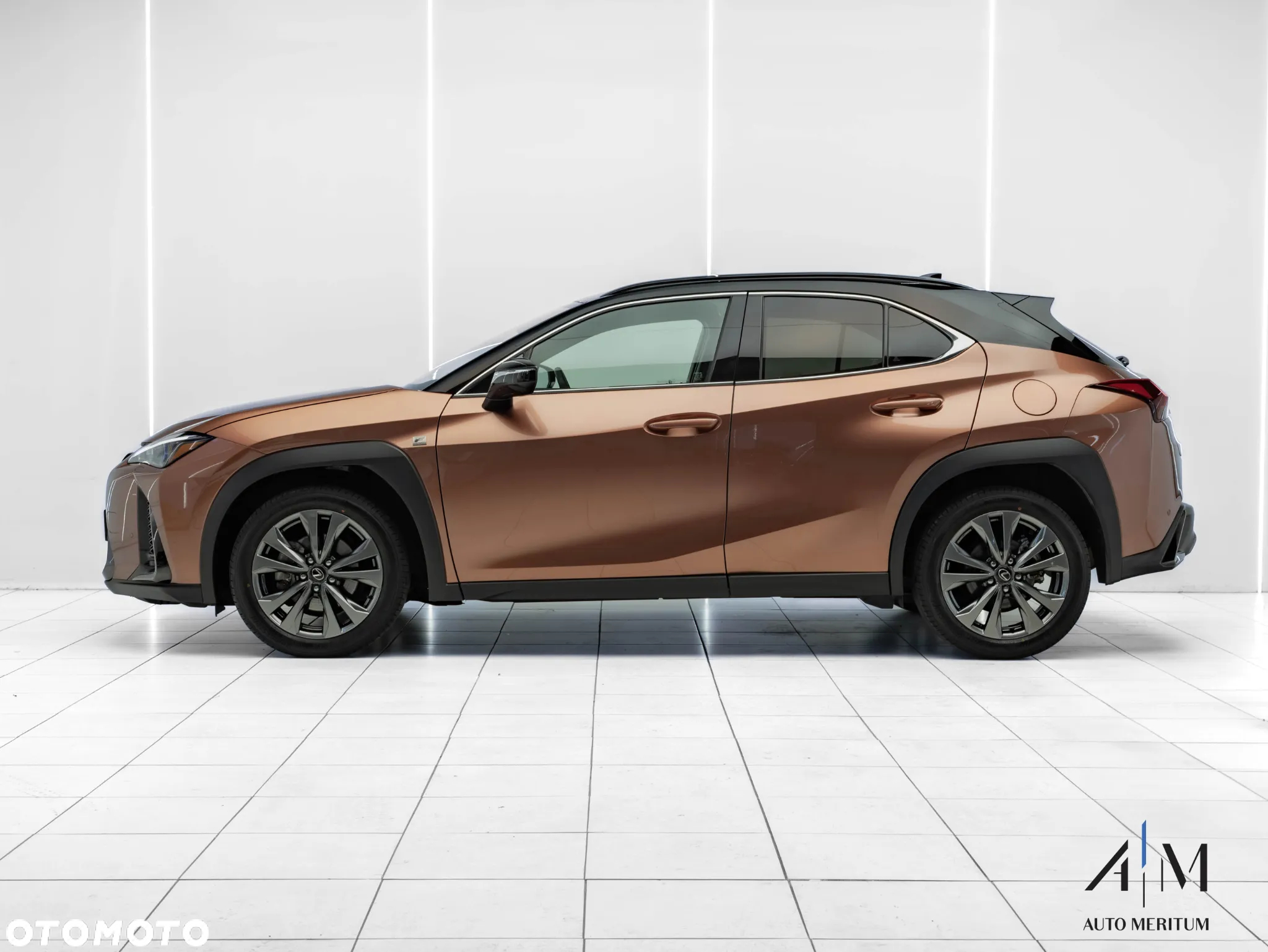 Lexus UX 300h F Sport Design AWD - 6