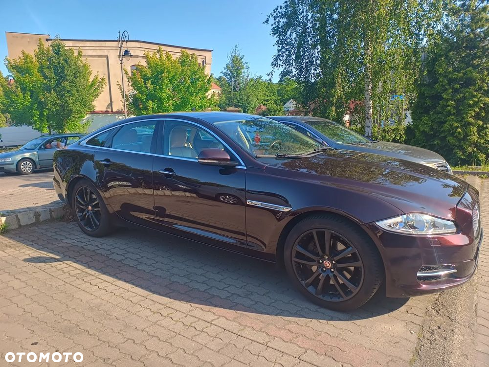 Jaguar XJ 3.0 D V6 Luxury - 5