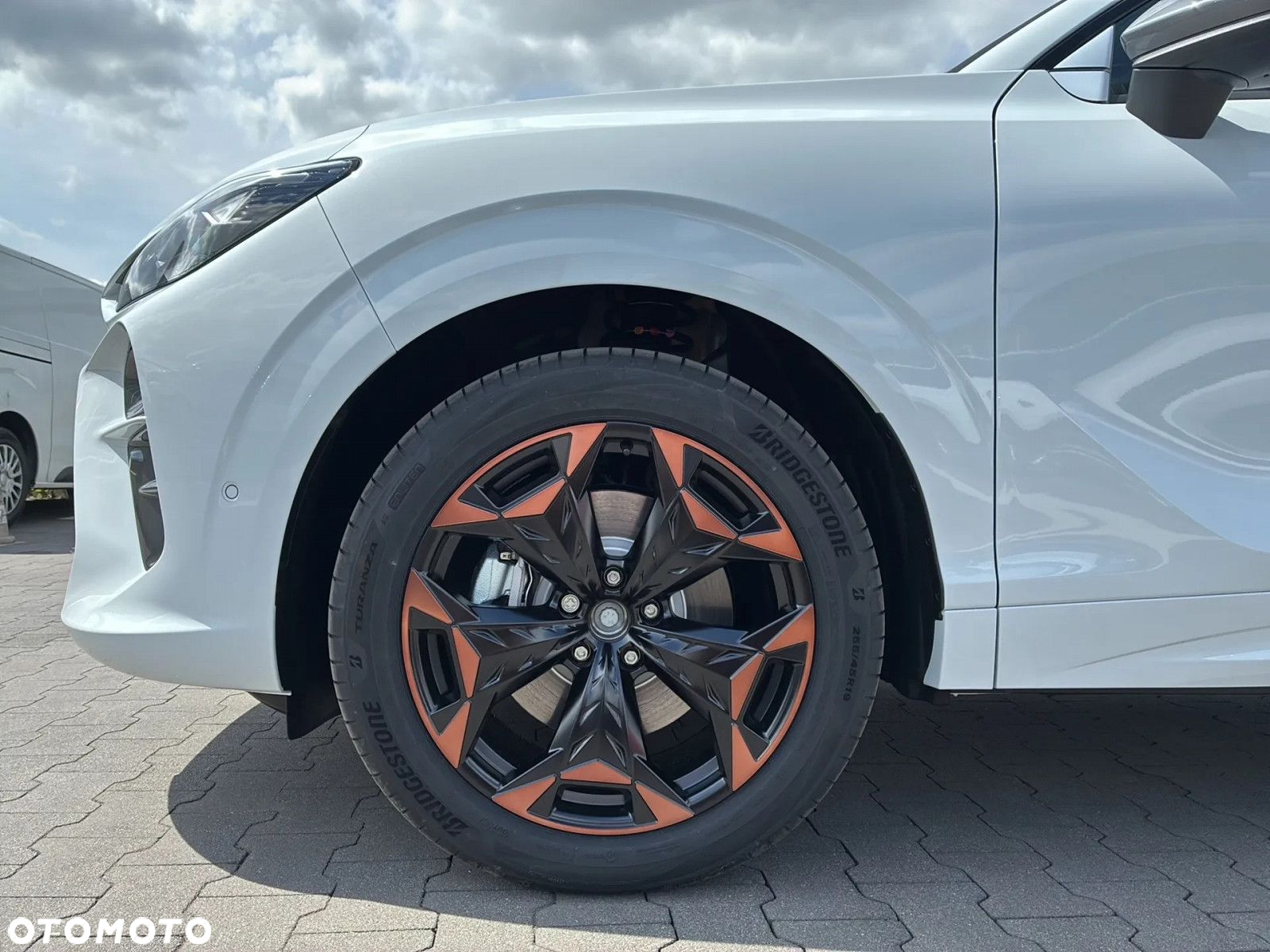 Cupra Terramar - 21
