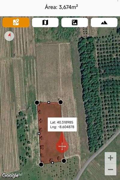 Vendo terreno  vinha e oliveiras 14.291 m² - Grande imagem: 3/4