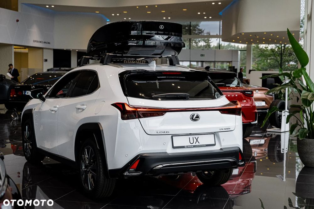 Lexus UX 300h F Sport Design - 9