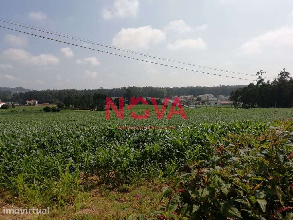 Terreno Urbano  Venda em Laundos,Póvoa de Varzim - Grande imagem: 2/3