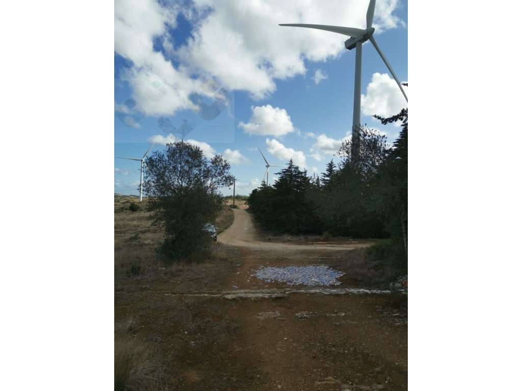 Terreno - Grande imagem: 5/6