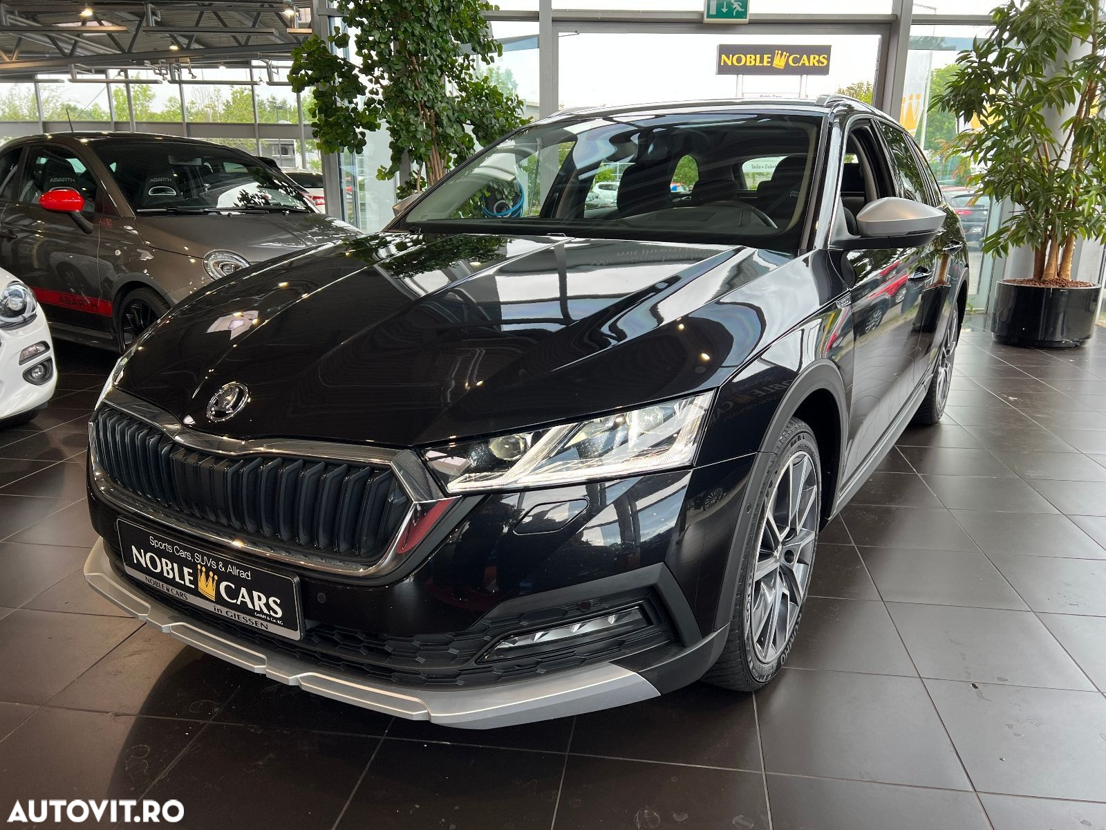 Skoda Octavia - 4