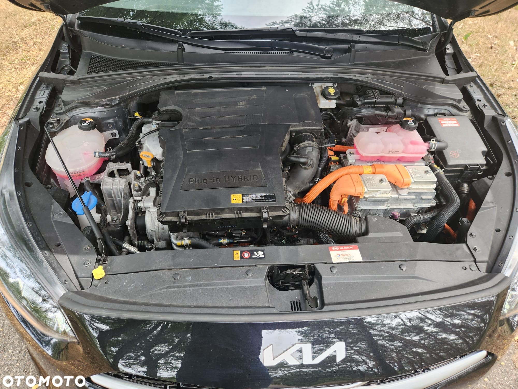 Kia Ceed 1.6 GDI PHEV Business Line DCT - 5