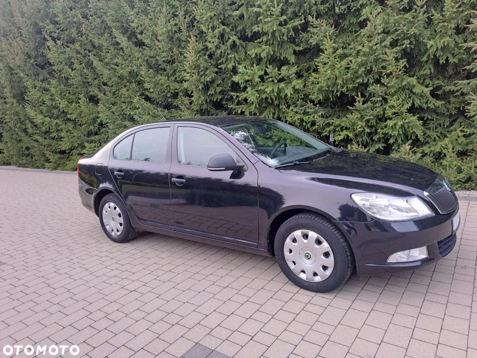Skoda Octavia - 2
