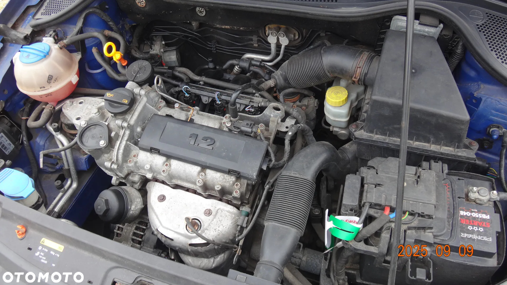 Volkswagen Polo - 16