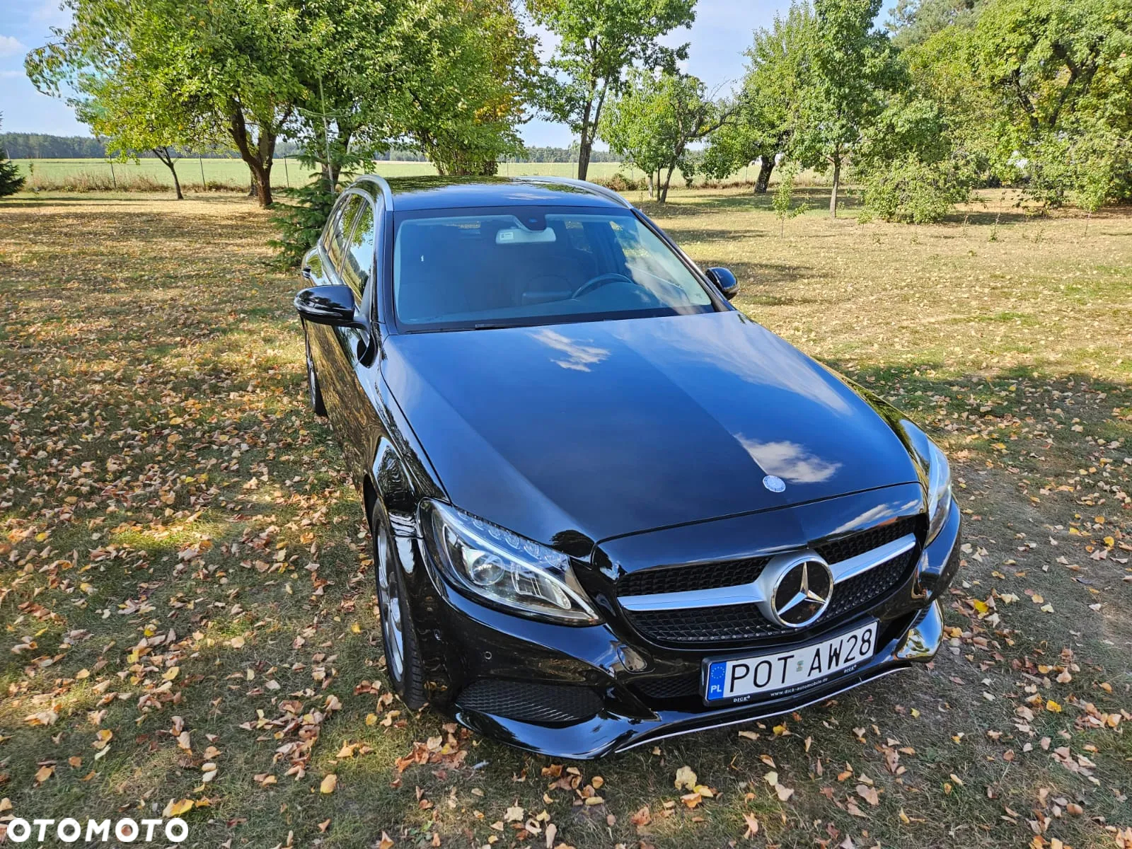 Mercedes-Benz Klasa C 250 d 4-Matic 9G-TRONIC - 7