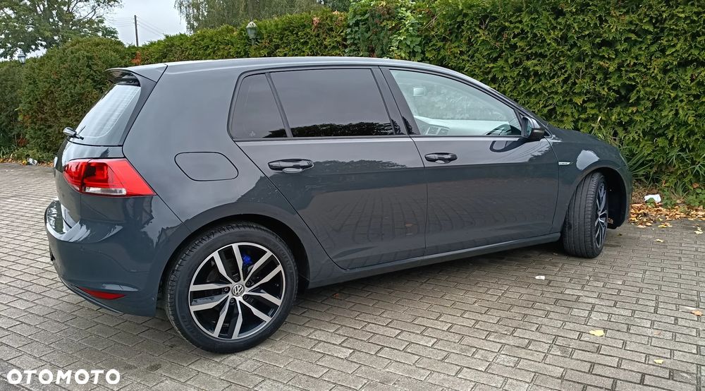 Volkswagen Golf - 12