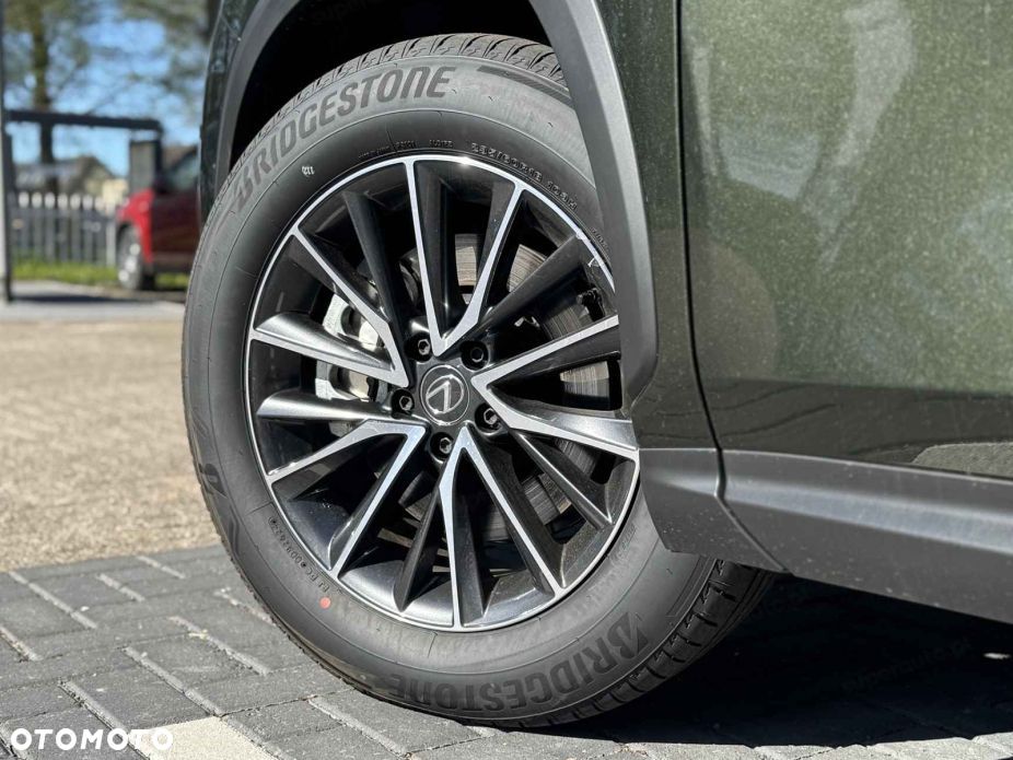 Lexus NX - 17