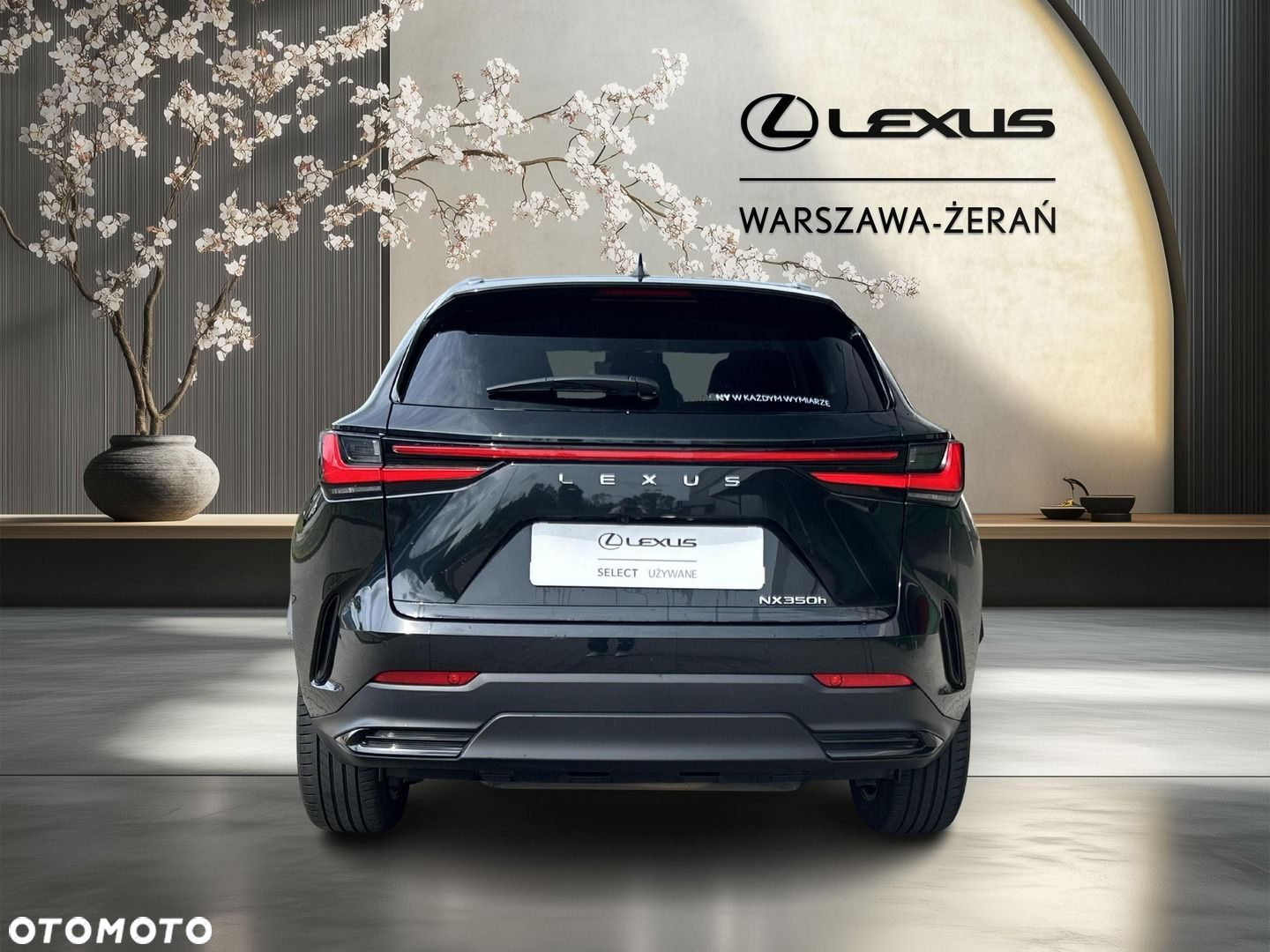 Lexus NX - 6
