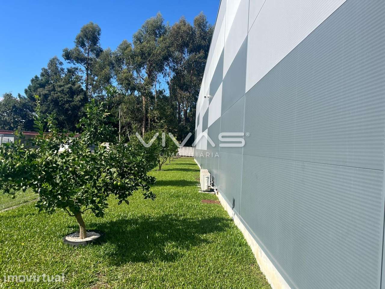 Armazém  Arrendamento em São Romão de Neiva,Viana do Castelo - Grande imagem: 5/18