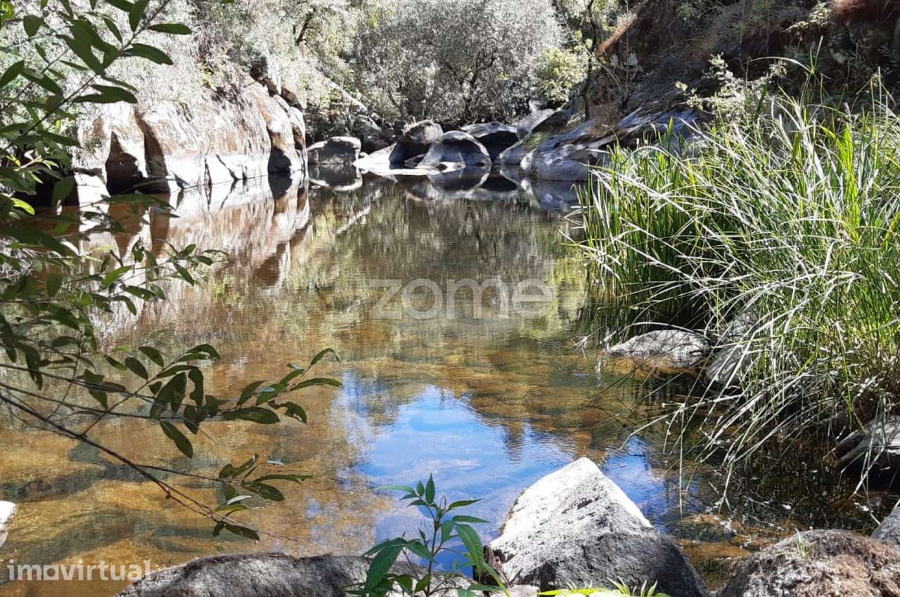 Quinta junto ao rio Seia - Grande imagem: 5/17